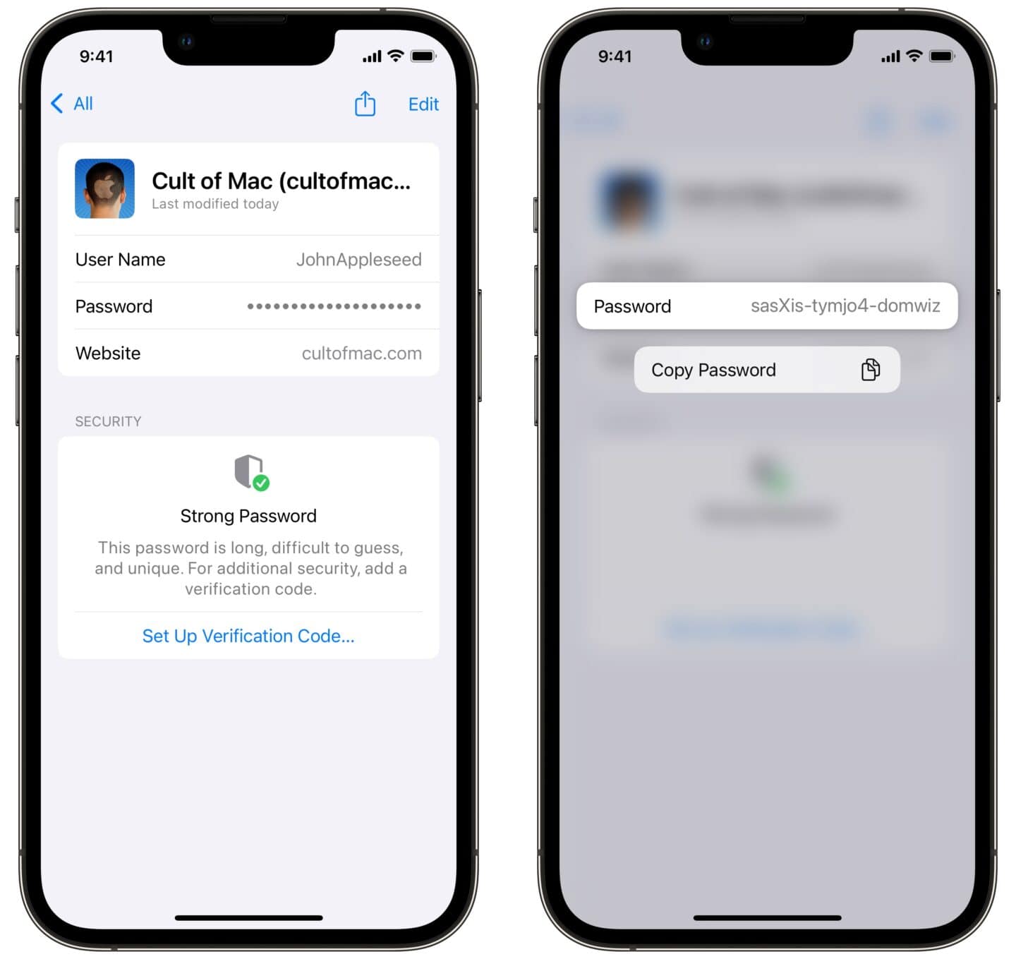 Copying a saved password