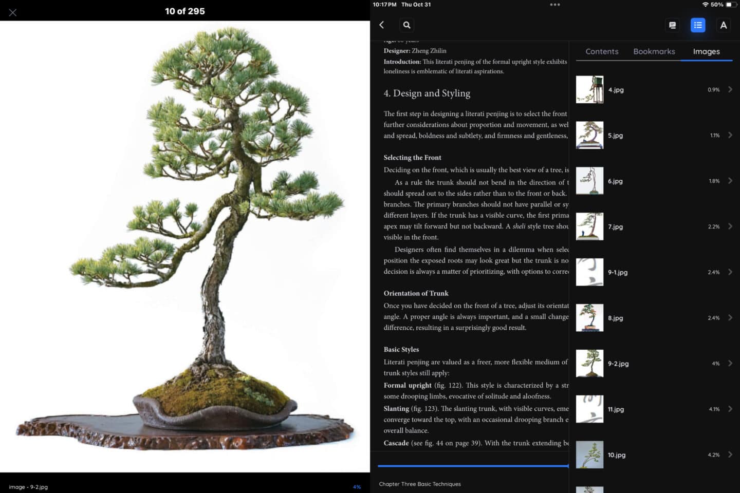 A screenshot of BookFusion's new image navigation and gallery features for e-books.