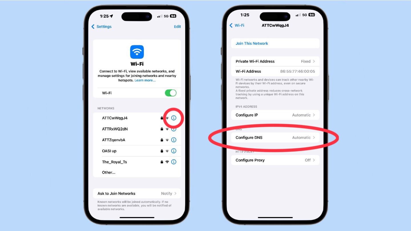 DNS Server change on iPhone initial steps