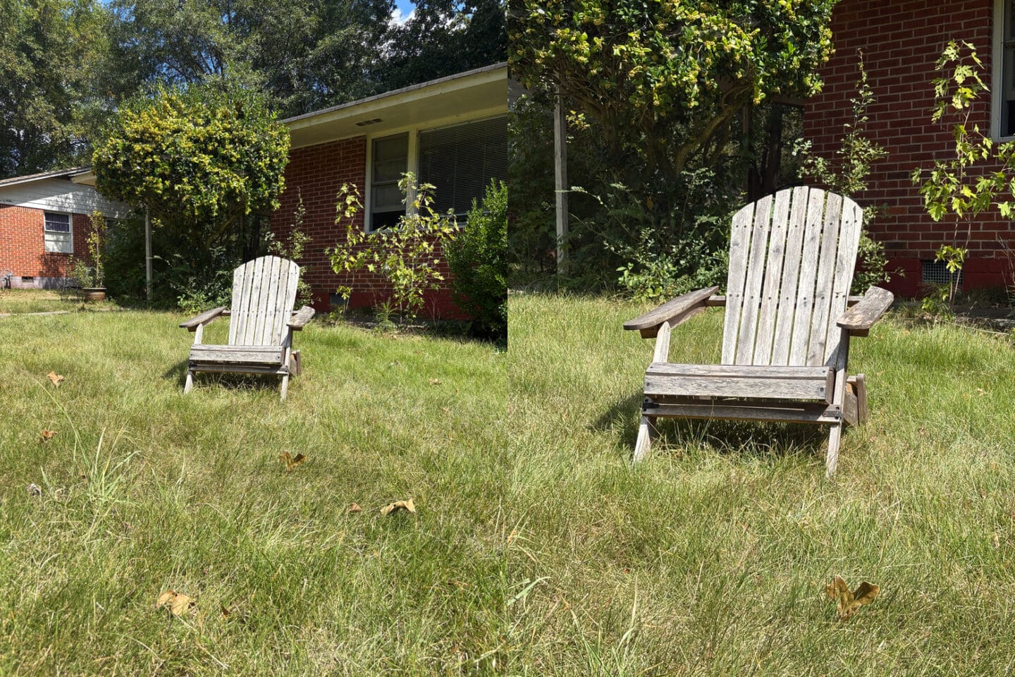 iPhone 16 sample picture: 2X zoom