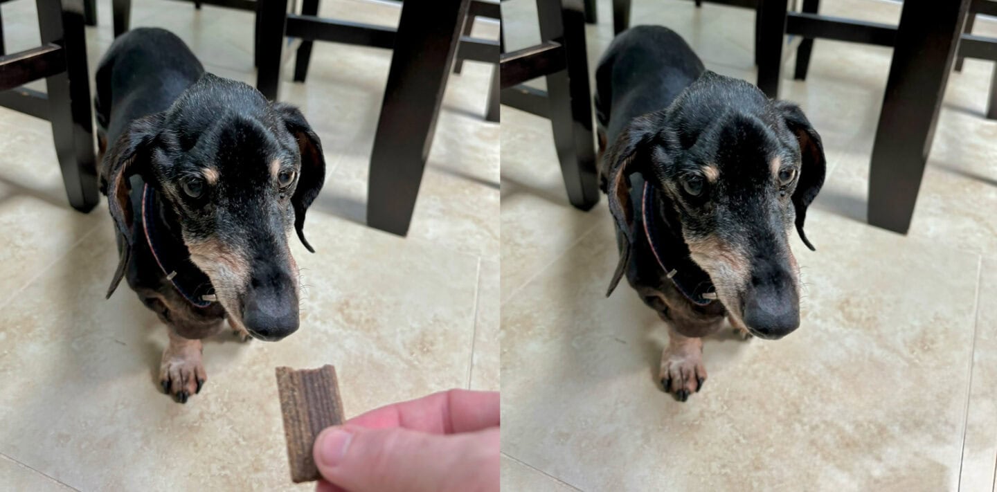 iPhone 16 sample picture: AI Clean Up in Photos 