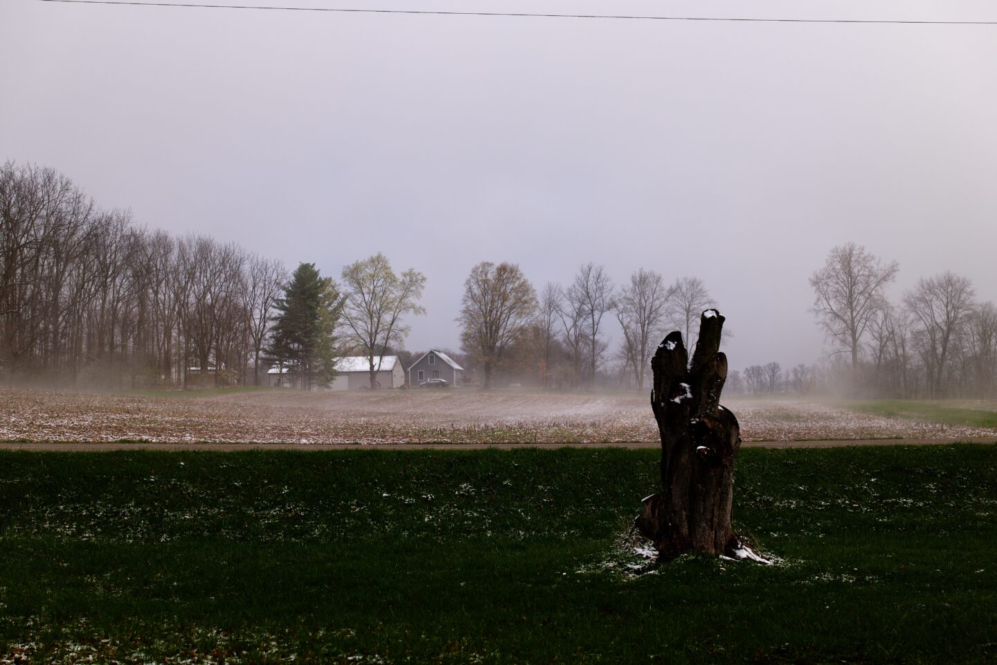 Image of a tree stump with a farm in the background in the fog, taken from a Sigma BF camera