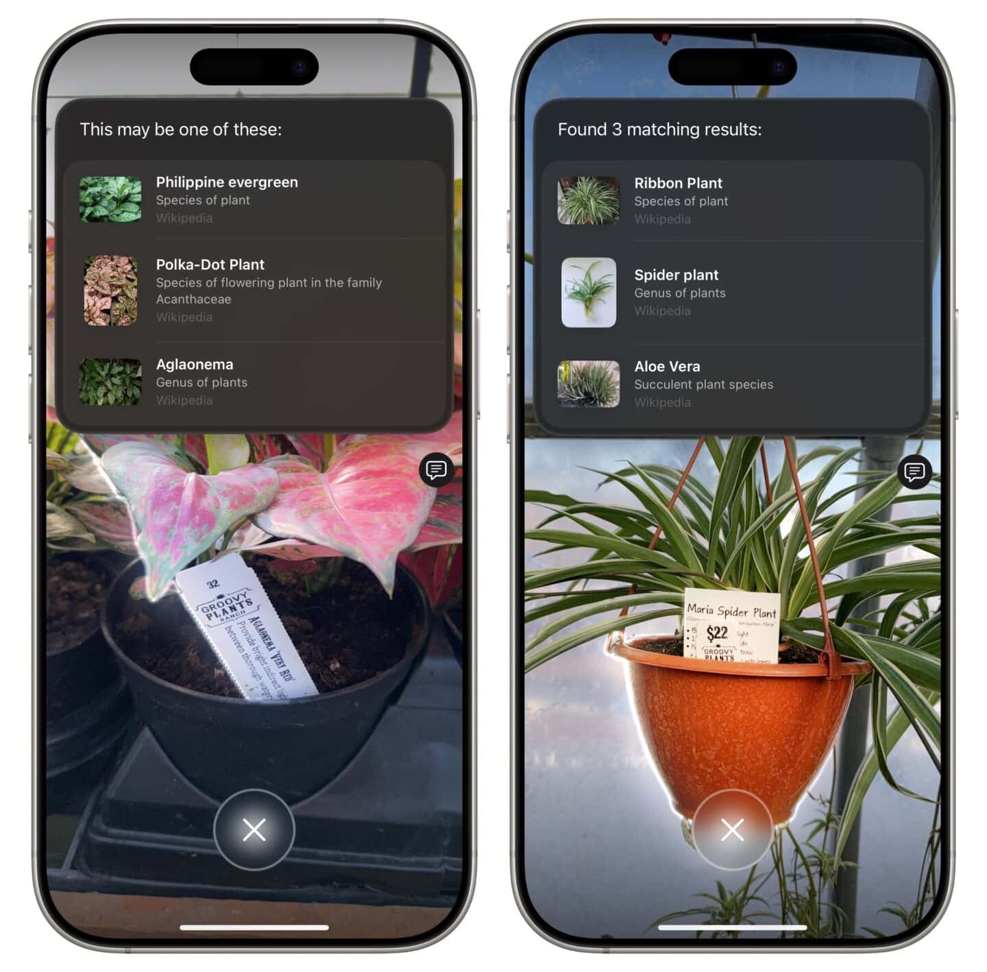 Identifying plants with Visual Intelligence